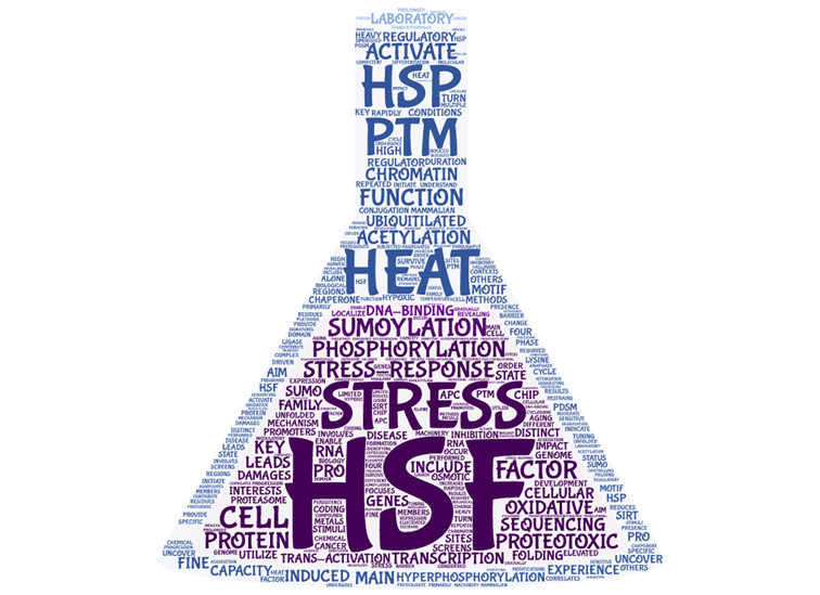 Research – Sistonen Lab