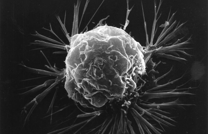 New publication out in Molecular Cell! – Sistonen Lab